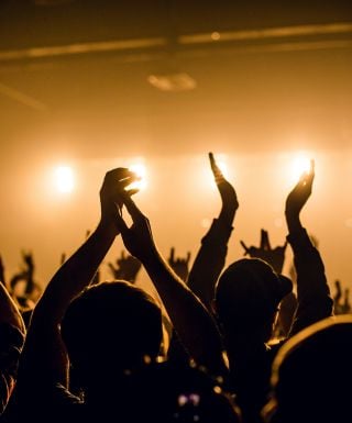 crowd at concert