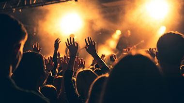 black and gold backs of concert audience with their hands in the air